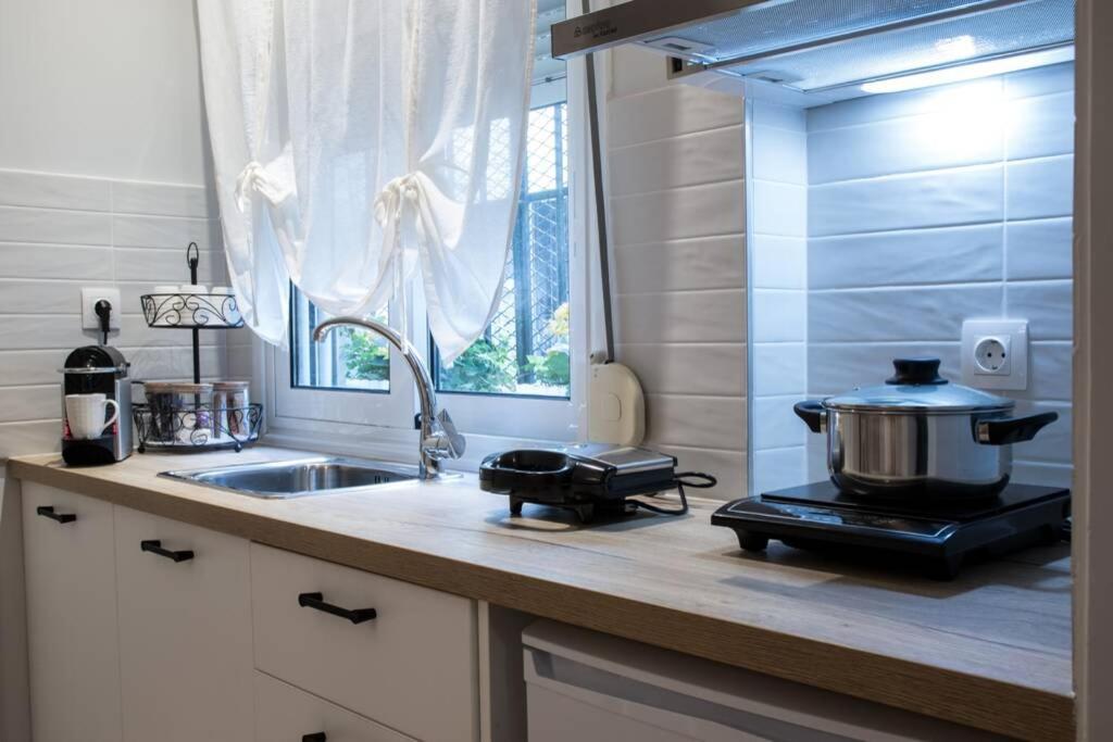 Isidorou Apartment *